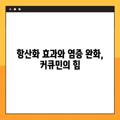 수용성 커큐민의 효능, 부작용, 복용법 완벽 가이드 | 건강, 항산화, 염증, 흡수율, 부작용, 복용법