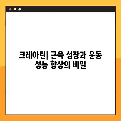 크레아틴의 모든 것| 효능, 부작용, 복용법, 사용자 리뷰 & 전문가 분석 | 크레아틴, 근육 성장, 운동 성능, 건강 보조제, 운동, 보디빌딩