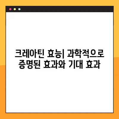 크레아틴의 모든 것| 효능, 부작용, 복용법, 사용자 리뷰 & 전문가 분석 | 크레아틴, 근육 성장, 운동 성능, 건강 보조제, 운동, 보디빌딩