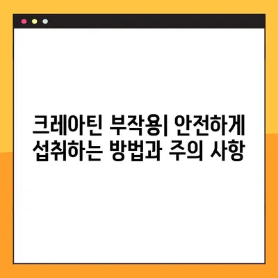 크레아틴의 모든 것| 효능, 부작용, 복용법, 사용자 리뷰 & 전문가 분석 | 크레아틴, 근육 성장, 운동 성능, 건강 보조제, 운동, 보디빌딩