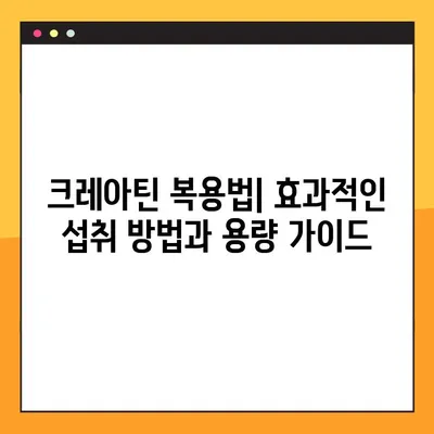 크레아틴의 모든 것| 효능, 부작용, 복용법, 사용자 리뷰 & 전문가 분석 | 크레아틴, 근육 성장, 운동 성능, 건강 보조제, 운동, 보디빌딩