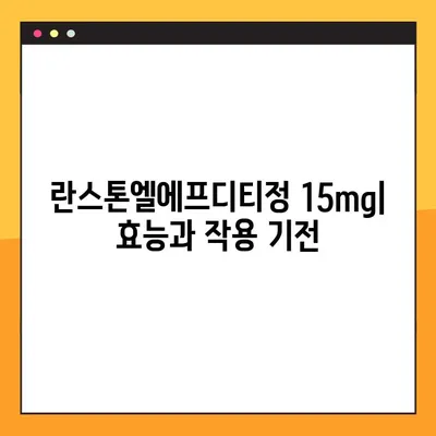 란스톤엘에프디티정 15mg| 효능, 부작용, 복용법, 주의사항 총정리 | 고혈압 치료, 약물 정보, 복용 가이드