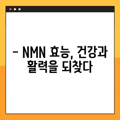 NMN 노화 방지 효과, 복용법 완벽 가이드 | NMN 효능, 부작용, 복용 시 주의 사항