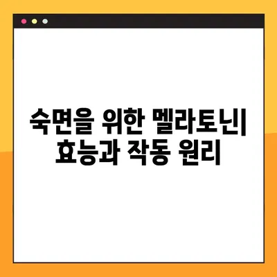 멜라토닌의 효능과 부작용| 수면 개선을 위한 완벽 가이드 | 수면제, 섭취량, 복용법, 주의사항