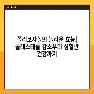 폴리코사놀 완벽 가이드| 효능, 부작용, 복용법 총정리 | 건강, 콜레스테롤, 심혈관 건강