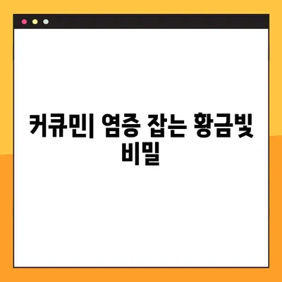 커큐민의 모든 것| 효능, 부작용, 복용법 & 주의 사항 | 건강, 영양, 섭취 가이드, 건강 관리