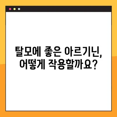 아르기닌 탈모 효과, 제대로 알고 먹어야 효과 UP! | 아르기닌 효능, 부작용, 탈모 복용법, 안전하게 먹는 방법