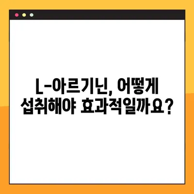 L-아르기닌 효능, 복용법, 부작용까지 완벽 분석| 섭취 가이드 | 건강, 영양, 운동, 면역, 혈액순환