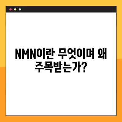 NMN 효능, 부작용, 복용법 총정리| 레스베라트롤과 함께 | 건강, 노화방지, 항산화, 영양제, 건강 정보