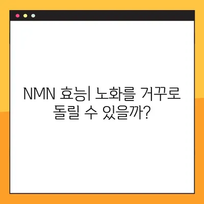 NMN| 효능, 부작용, 복용법 & 레스베라트롤의 놀라운 연관성 | 항노화, 건강, 영양, 섭취 방법, 부작용 정보