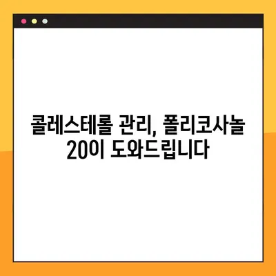 폴리코사놀 20 효능, 부작용, 복용법 완벽 가이드 | 건강 기능성, 콜레스테롤, 혈액순환