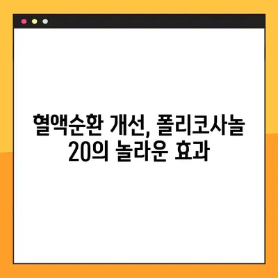 폴리코사놀 20 효능, 부작용, 복용법 완벽 가이드 | 건강 기능성, 콜레스테롤, 혈액순환