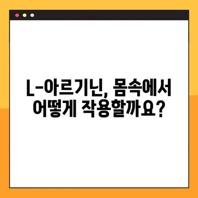 L-아르기닌 효능, 부작용, 안전한 복용법 완벽 가이드 | 건강, 운동, 영양, 보충제