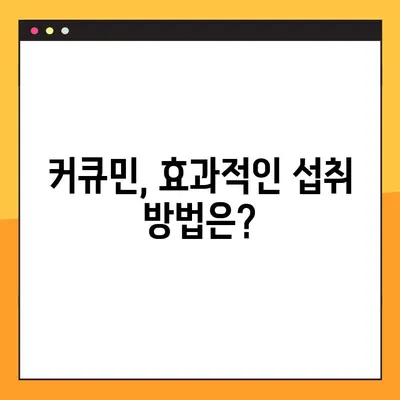 커큐민 효능, 부작용, 복용법 총정리 | 건강 정보, 커큐민 효과, 커큐민 부작용, 커큐민 복용 방법