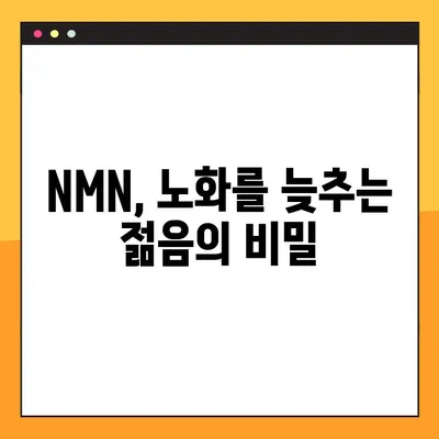 NMN| 효능, 부작용, 복용법 총정리 & 레스베라트롤 비교 | 건강, 노화방지, 항산화, NAD+, 활성산소, 영양제