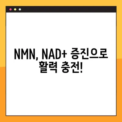 NMN| 효능, 부작용, 복용법 총정리 & 레스베라트롤 비교 | 건강, 노화방지, 항산화, NAD+, 활성산소, 영양제