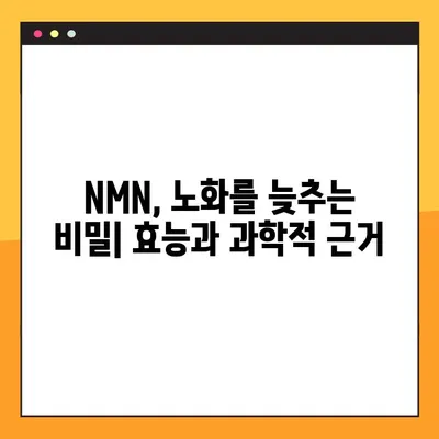 NMN 완벽 가이드| 효능, 부작용, 복용법, 레스베라트롤 상호 작용 | 건강, 노화 방지, 안티에이징, 영양제