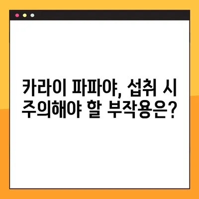 카라이 파파야의 효능, 부작용, 복용법 총정리 | 건강 정보, 파파야 효능, 부작용, 복용법, 건강 관리