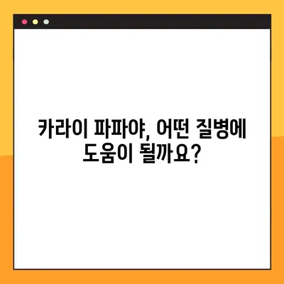 카라이 파파야의 효능, 부작용, 복용법 총정리 | 건강 정보, 파파야 효능, 부작용, 복용법, 건강 관리