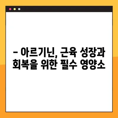 아르기닌 효능, 부작용, 복용법 완벽 가이드 | 건강, 근육, 면역, 성기능, 혈압