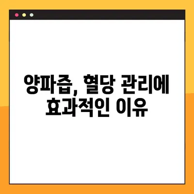 혈당 관리의 핵심, 양파! 효능, 부작용, 복용법까지 완벽 가이드 | 혈당 강하 식품, 양파즙, 건강