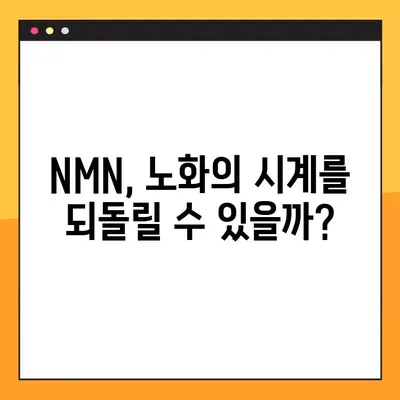 NMN 효능, 부작용, 복용법, 레스베라트롤 비교분석 | 노화방지, 건강, 안티에이징