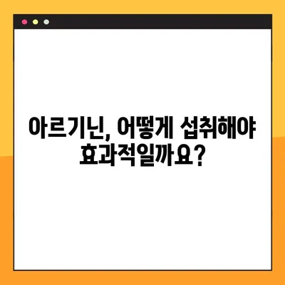 아르기닌의 모든 것| 효능, 부작용, 복용법 완벽 가이드 | 건강, 영양, 아미노산