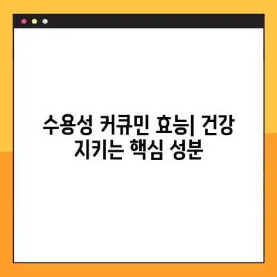 수용성 커큐민| 효능, 부작용, 복용법 완벽 가이드 | 건강, 섭취, 팁