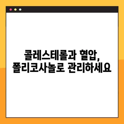 폴리코사놀 효과 & 복용 가이드| 부작용까지 완벽 정리 | 건강, 콜레스테롤, 혈압, 면역력