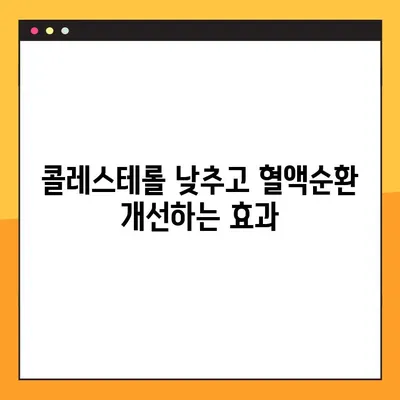 폴리코사놀 완벽 가이드| 효능, 부작용, 복용법 총정리 | 건강, 콜레스테롤, 혈액순환