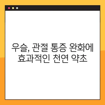 우슬의 효능, 부작용, 복용법 완벽 가이드 | 관절 건강, 통증 완화, 효과적인 복용 방법