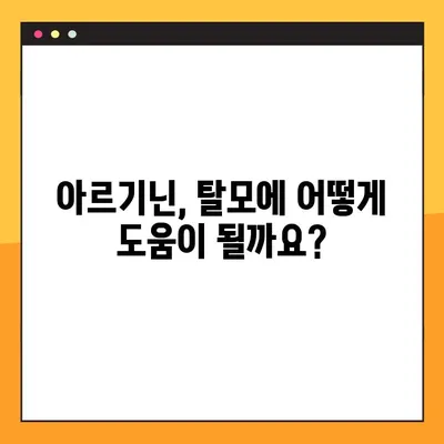 아르기닌 탈모 개선 효과| 효능, 부작용, 복용법 완벽 가이드 | 탈모, 아르기닌, 건강, 영양, 섭취