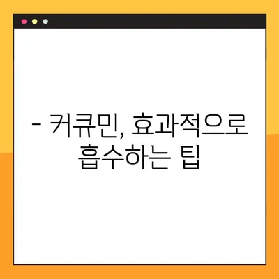 커큐민의 효능, 부작용, 복용법 완벽 가이드 | 건강, 염증, 항산화, 섭취 방법, 주의 사항