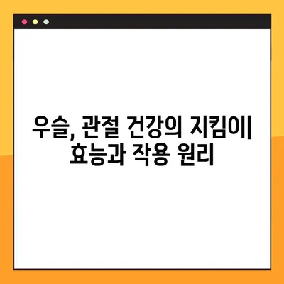 우슬의 효능과 부작용 완벽 분석| 성분, 안전한 복용법까지 | 건강, 관절 건강, 한약재, 우슬 효능, 우슬 부작용