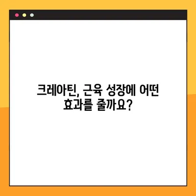 크레아틴 효과 제대로 보기| 복용법, 후기, 주의사항 완벽 가이드 | 근육 성장, 운동 효과, 부작용