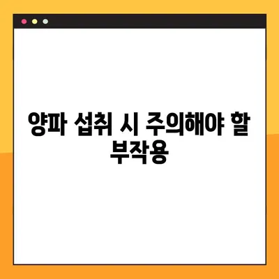 양파의 놀라운 효능, 부작용, 그리고 건강하게 섭취하는 방법 | 건강, 식단, 영양
