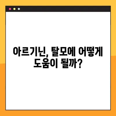 아르기닌 탈모, 효과적인 복용법과 주의 사항 완벽 가이드 | 탈모 개선, 아르기닌 효능, 부작용