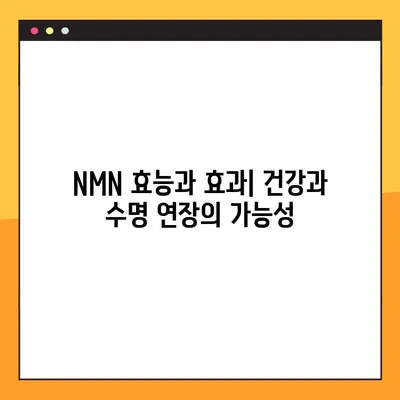 NMN| 효능, 효과, 부작용, 복용법… 레스베라트롤과 비교 | 노화 방지, 건강, 항산화, 비교 분석