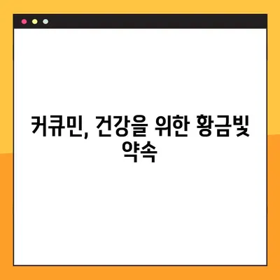 커큐민 효능, 부작용, 복용법 완벽 정리! | 건강, 염증, 항산화, 섭취 팁