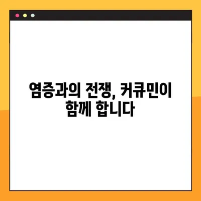 커큐민 효능, 부작용, 복용법 완벽 정리! | 건강, 염증, 항산화, 섭취 팁