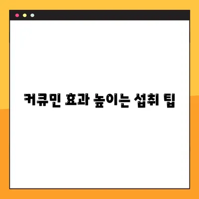 커큐민 효능, 부작용, 복용법 완벽 정리! | 건강, 염증, 항산화, 섭취 팁