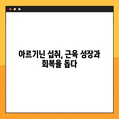 아르기닌의 효능과 부작용, 풍부한 식품원까지! 건강 관리를 위한 완벽 가이드 | 아르기닌, 건강, 식단, 효능, 부작용