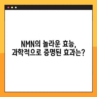 NMN의 모든 것| 효능, 효과, 부작용, 복용법 완벽 가이드 | 안티에이징, 건강, 영양제, NAD+