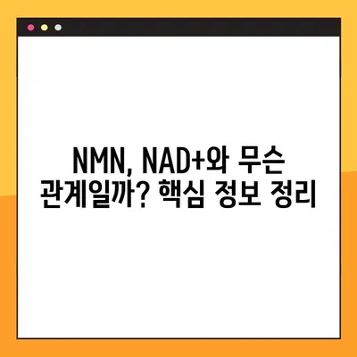 NMN의 모든 것| 효능, 효과, 부작용, 복용법 완벽 가이드 | 안티에이징, 건강, 영양제, NAD+