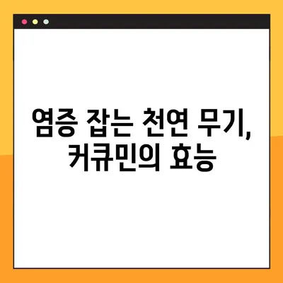 커큐민의 놀라운 효능과 부작용, 복용법까지 완벽 가이드 | 건강, 항염증, 면역력, 커큐민 효과
