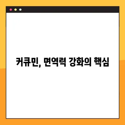 커큐민의 놀라운 효능과 부작용, 복용법까지 완벽 가이드 | 건강, 항염증, 면역력, 커큐민 효과
