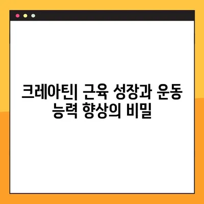 크레아틴의 모든 것| 효능, 부작용, 복용법, 임상 시험 검증 | 근육 성장, 운동 성능 향상, 건강 보조제