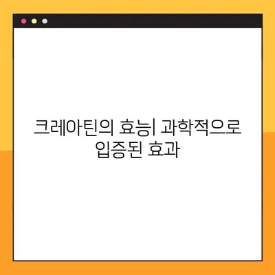 크레아틴의 모든 것| 효능, 부작용, 복용법, 임상 시험 검증 | 근육 성장, 운동 성능 향상, 건강 보조제