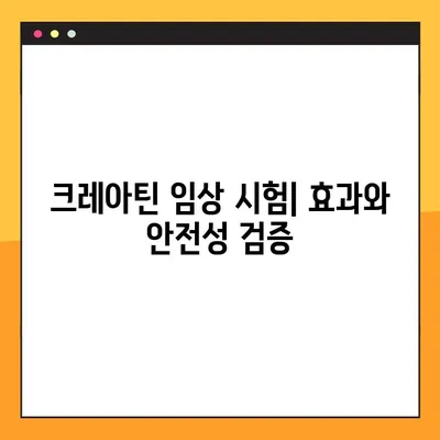 크레아틴의 모든 것| 효능, 부작용, 복용법, 임상 시험 검증 | 근육 성장, 운동 성능 향상, 건강 보조제