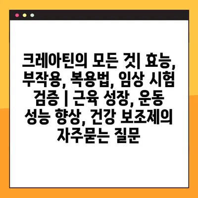 크레아틴의 모든 것| 효능, 부작용, 복용법, 임상 시험 검증 | 근육 성장, 운동 성능 향상, 건강 보조제